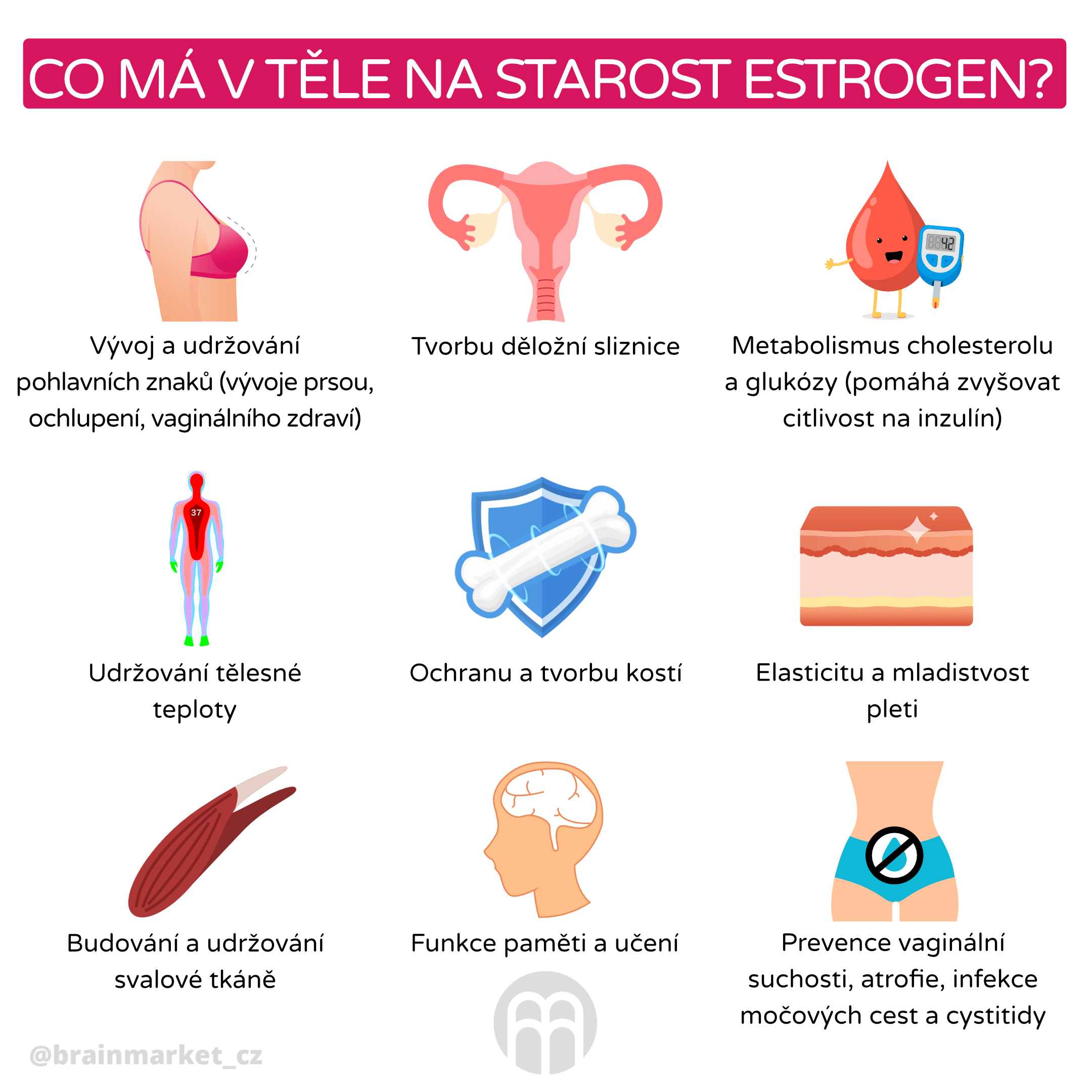 co ma na starost testosteron_infografika_cz